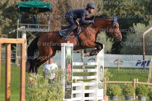 BICOCCHI_ISTRIONE_GIO CAV 2011_SS3_7737.jpg